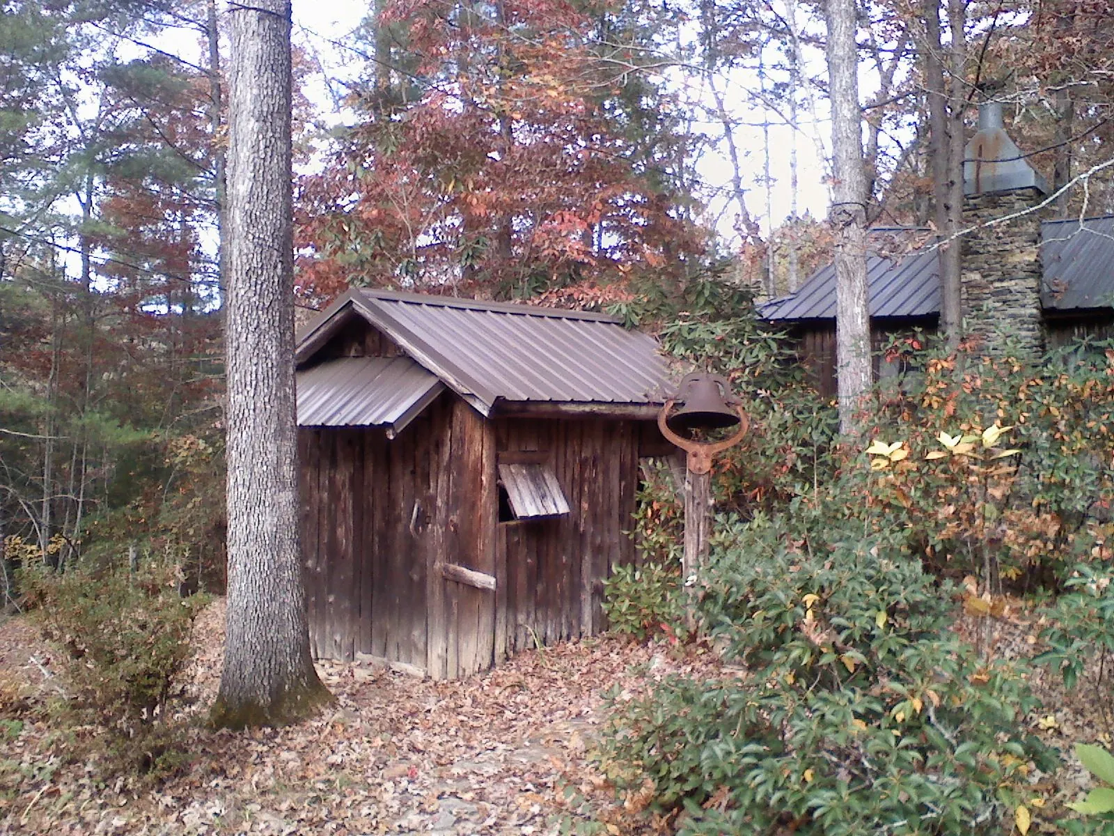 Small metal roof on a rough sawn shed in the woods in Clawson